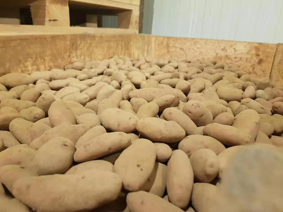 Sourcing & Aggregation