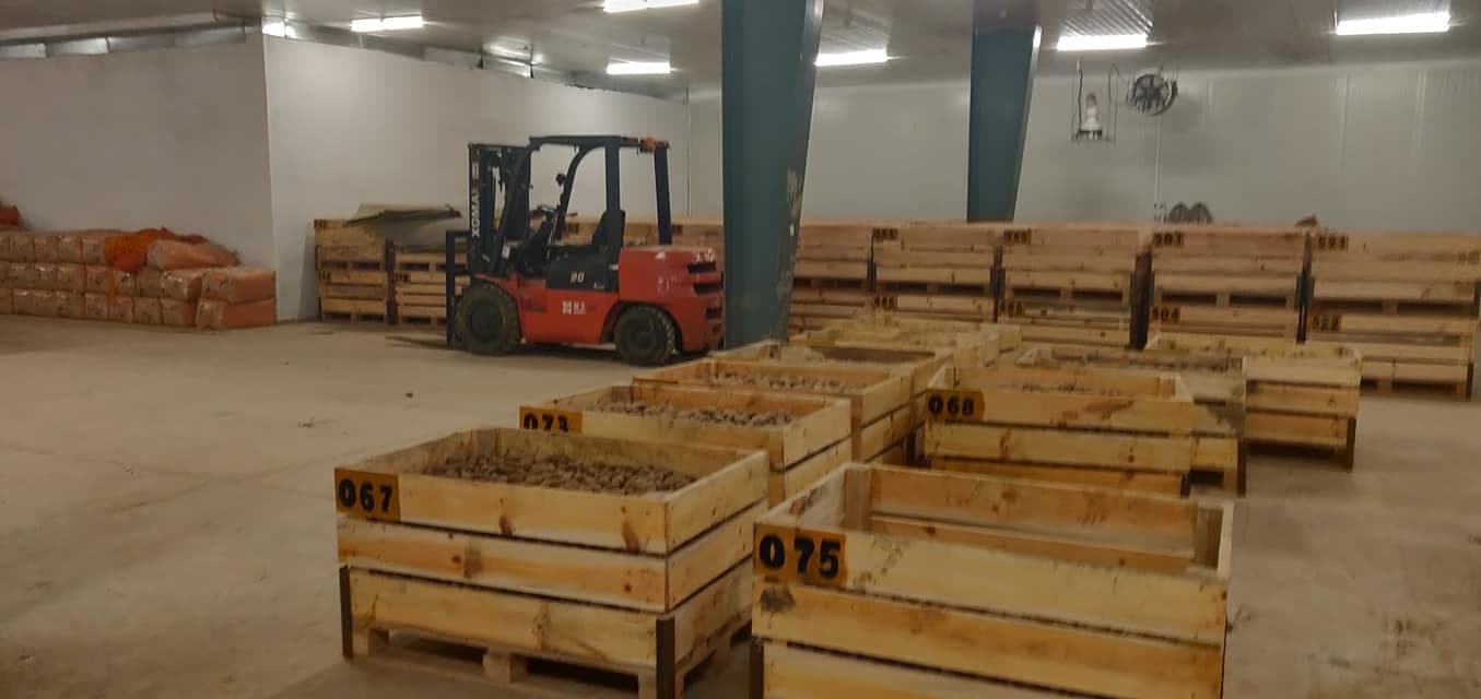 Storage & Preservation